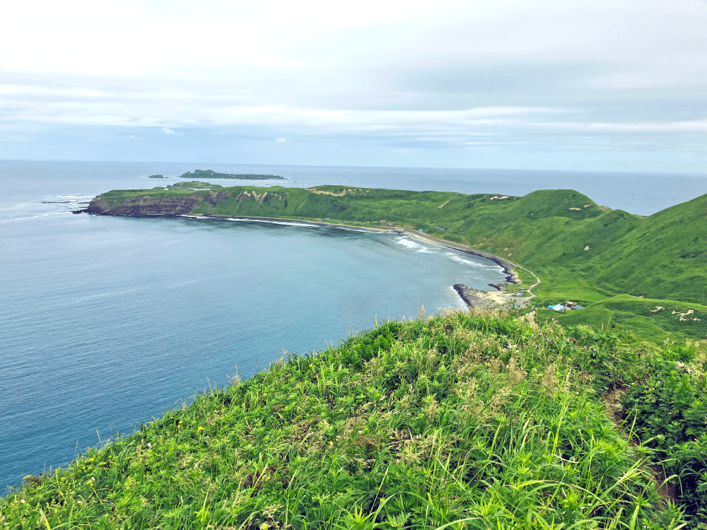 【礼文島トレイル７】はてしなく広がる海原と島の花を愛でよう！３つの岬の絶景を巡る